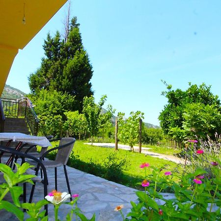 Apartments Stevan Bar Extérieur photo